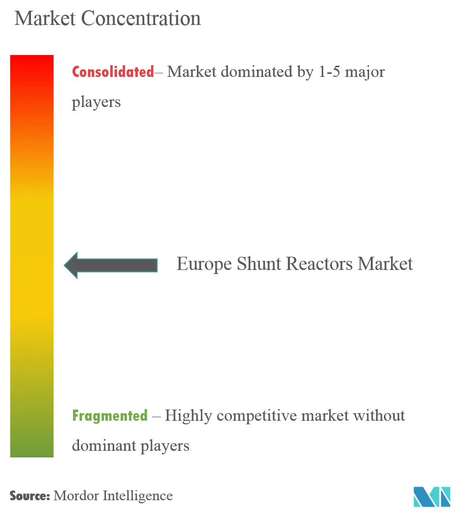 Europe Shunt Reactors Market Concentration