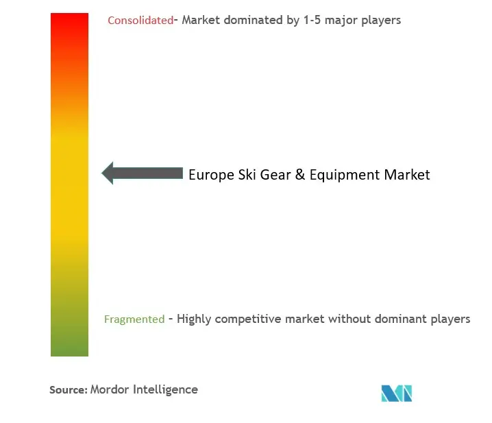 Equipos y equipos de esquí en EuropaConcentración del Mercado