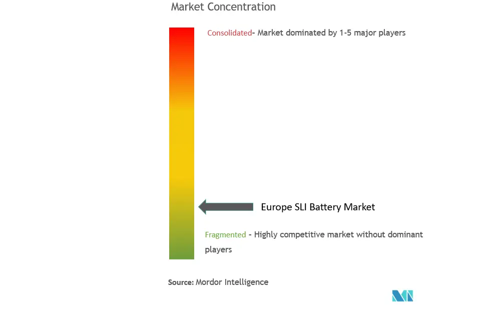 Europe SLI Battery Market Concentration