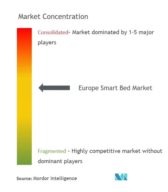 Europe Smart Bed Market Concentration