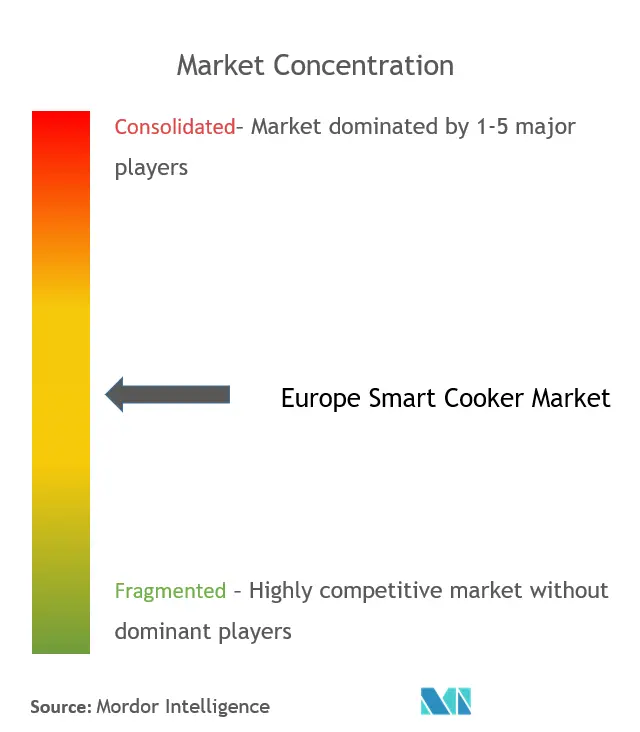 Europe Smart Cooker Market Concentration