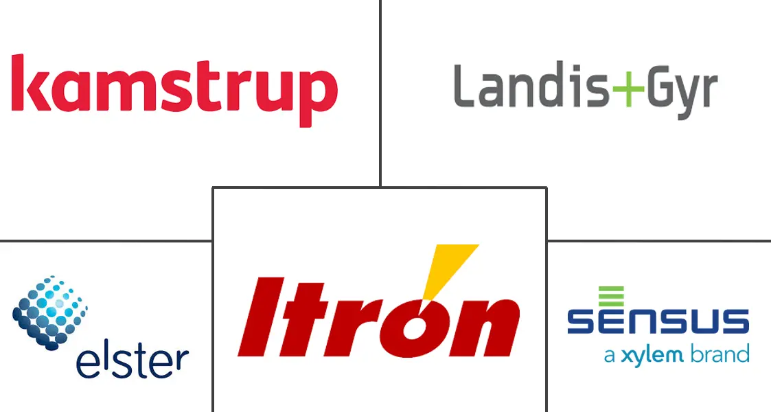 Major players in Europe Smart Meter industry