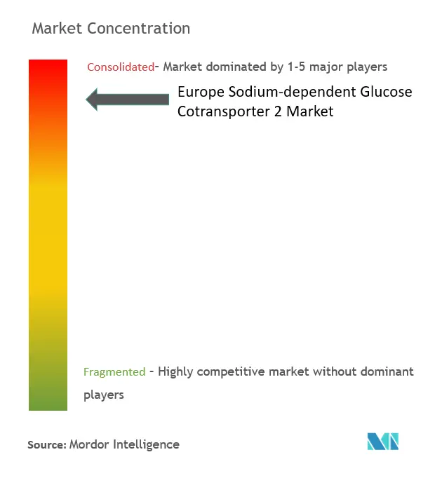 ヨーロッパ ナトリウム依存性グルコース共輸送体 2市場集中度
