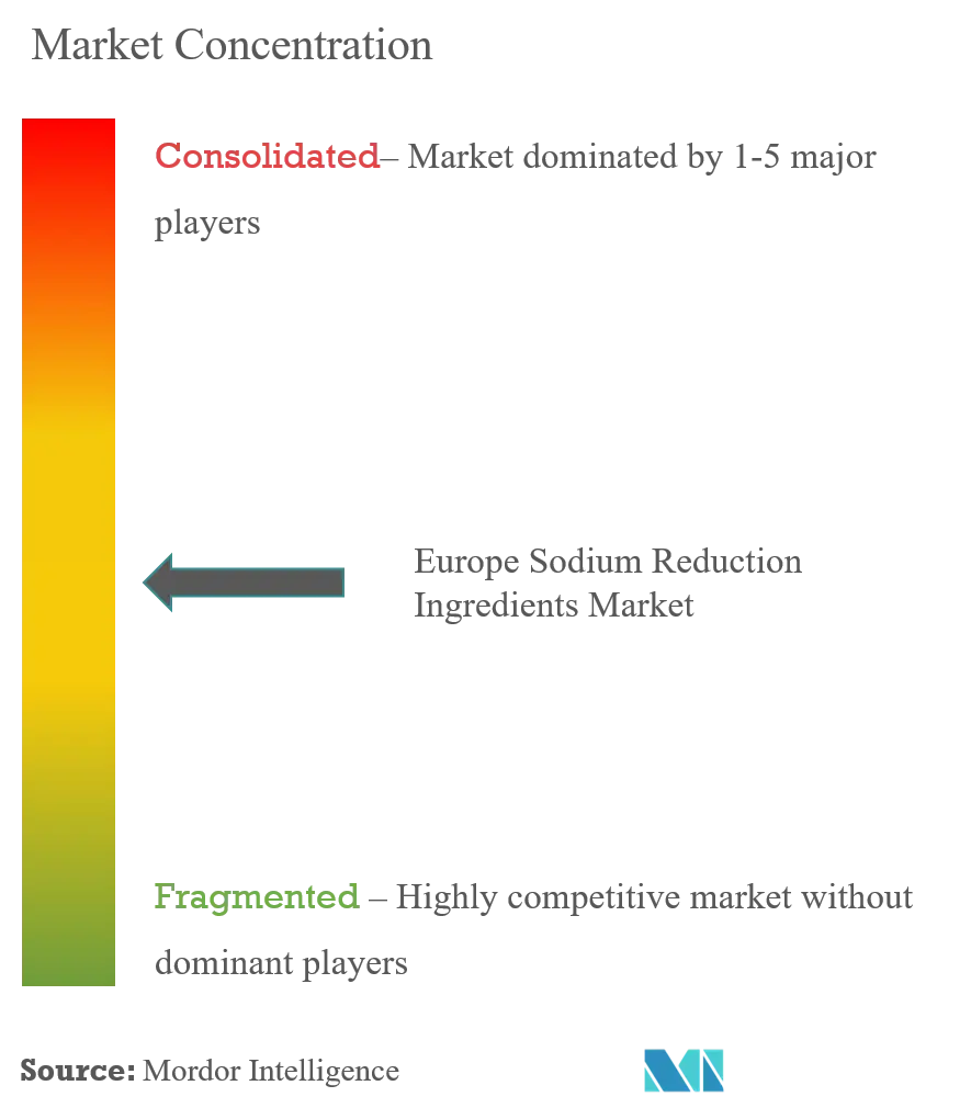 Europe Sodium Reduction Ingredient Market Concentration