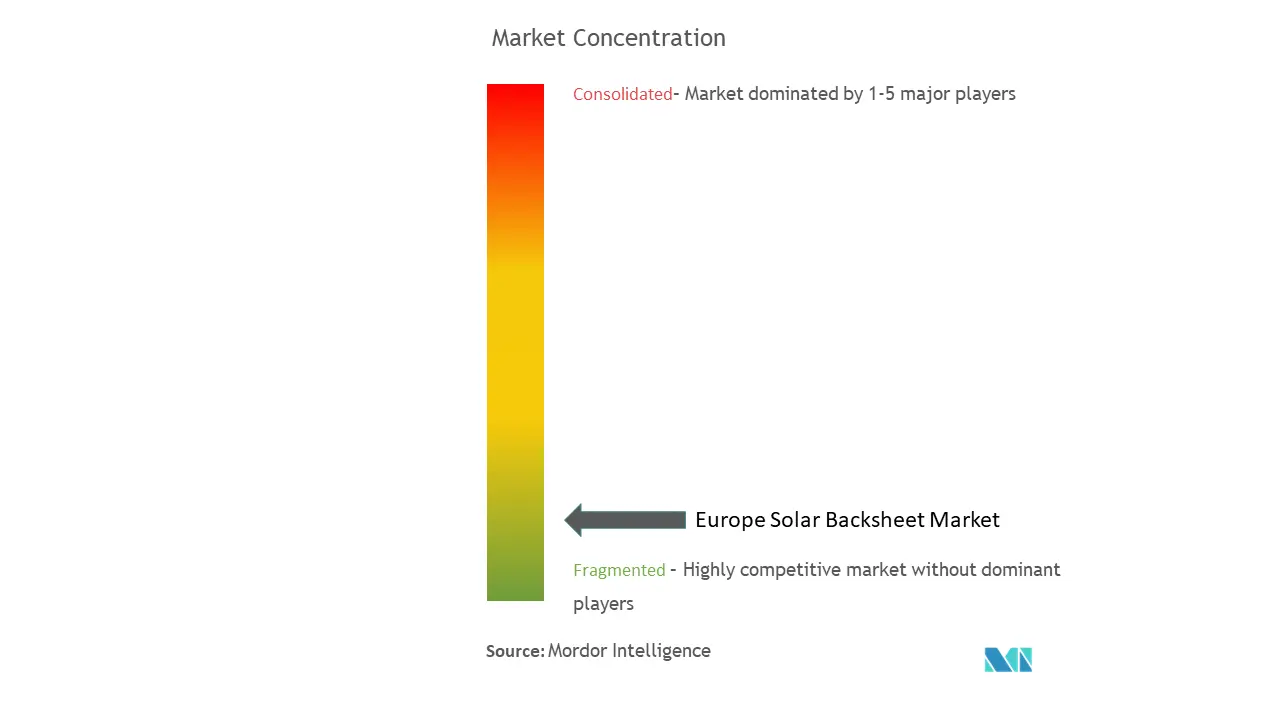 Europe Solar Backsheet Market Concentration