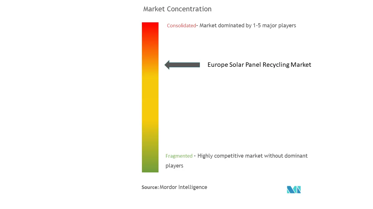 Europe Solar Panel Recycling Market Concentration