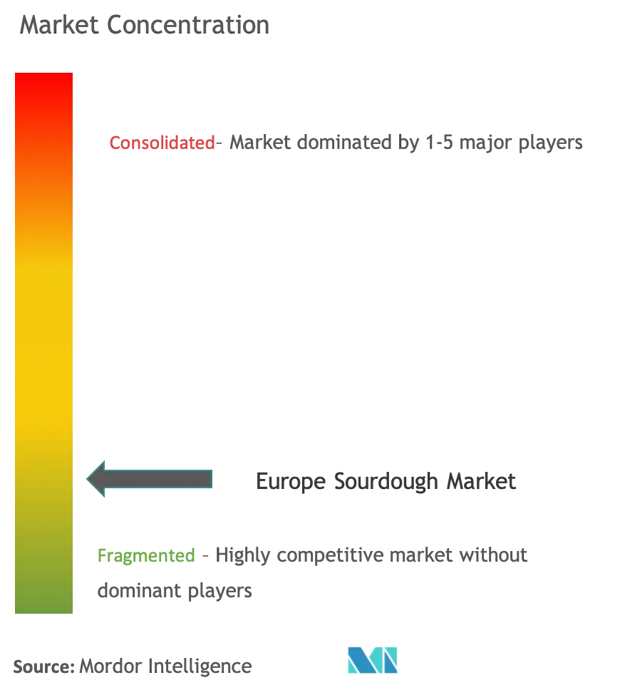 Europe Sourdough Market Concentration