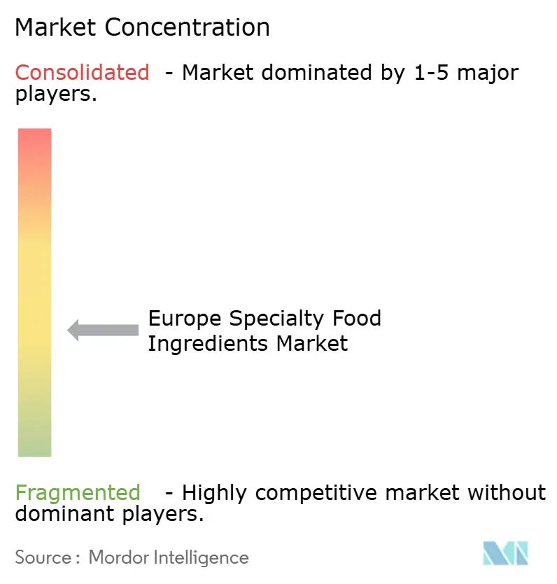 Europe Specialty Food Ingredients Market Concentration