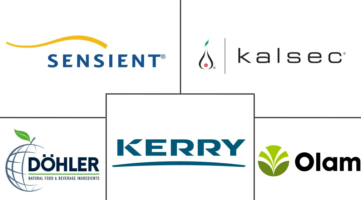 Major players in Europe Spice And Herb Extracts industry