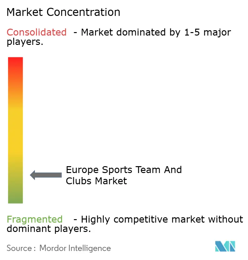 Europe Sports Team And Clubs Market Concentration
