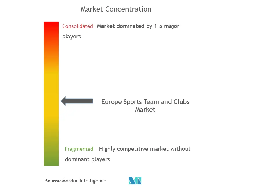 Europe Sports Team And Clubs Market Concentration