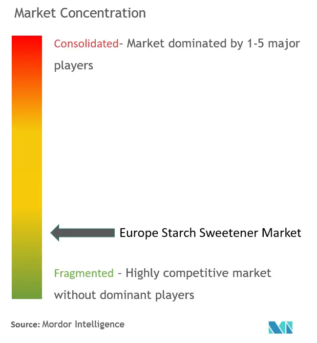 Europe Starch Sweetener Market Concentration
