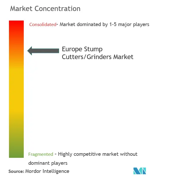 Destoconadora/trituradora de EuropaConcentración del Mercado