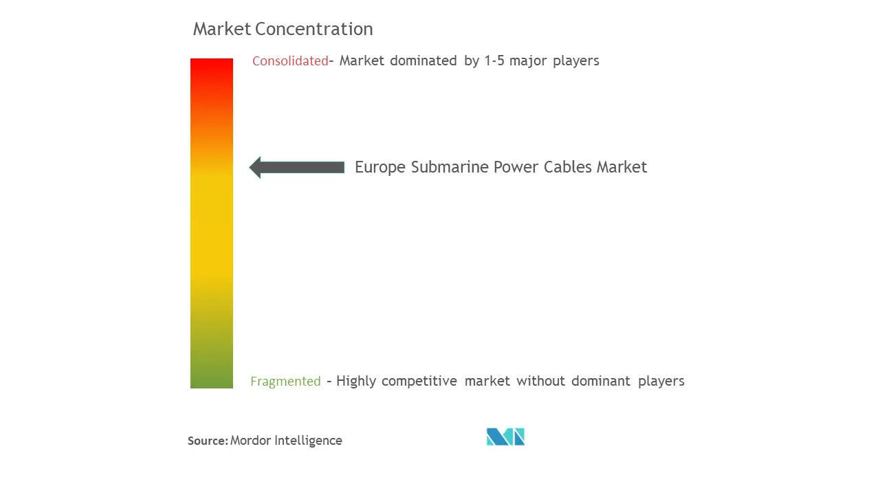 ヨーロッパ海底電力ケーブル市場集中度