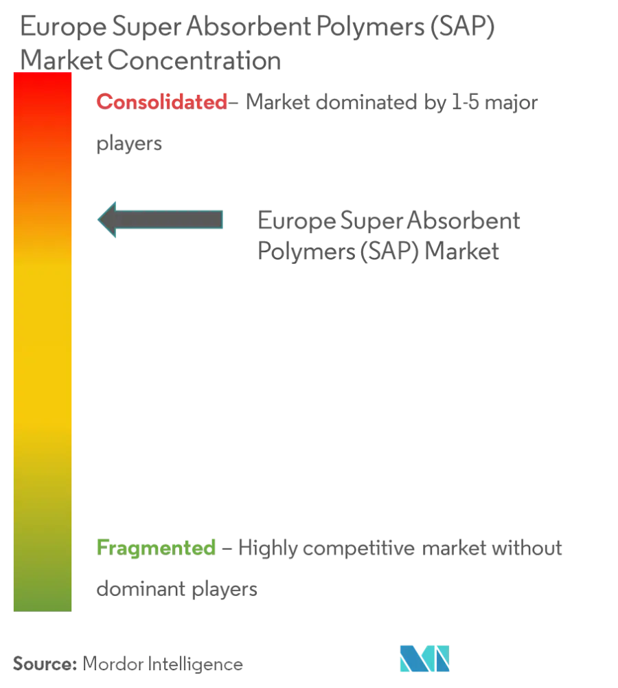 市场集中度 - 欧洲高吸水性聚合物 (SAP) Market.png