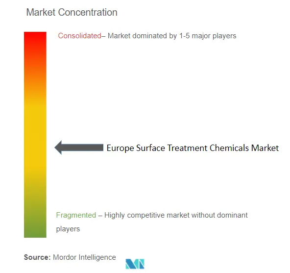 Europe Surface Treatment Chemicals Market Concentration.png