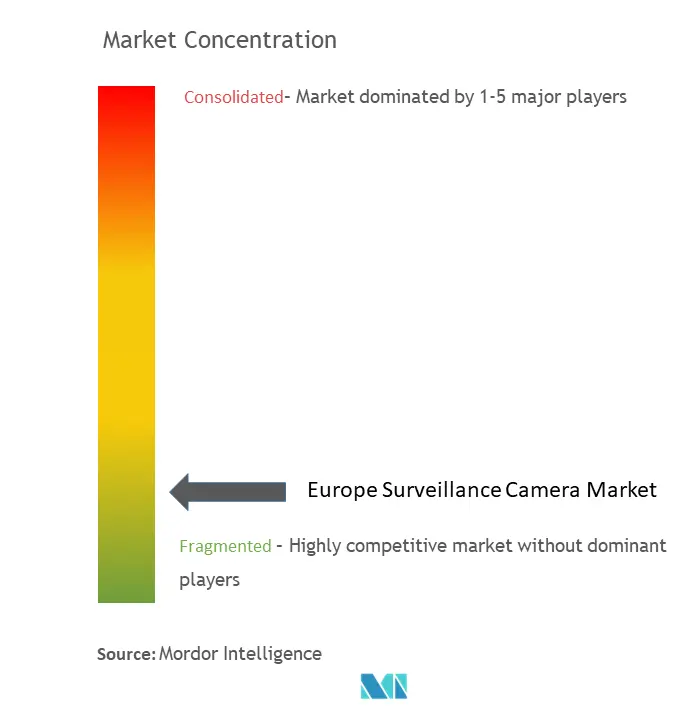 Europe Surveillance Camera Market Concentration