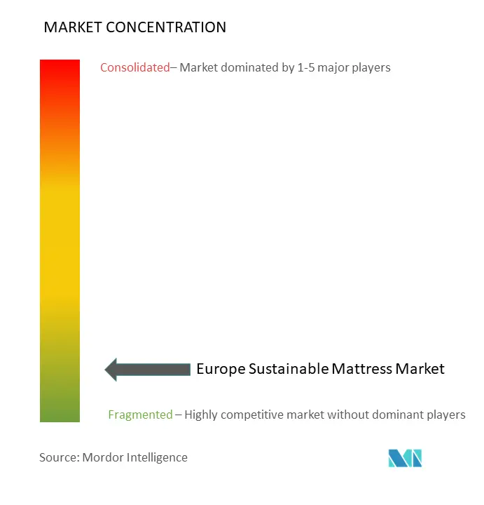 Europe Sustainable Mattress Market Concentration