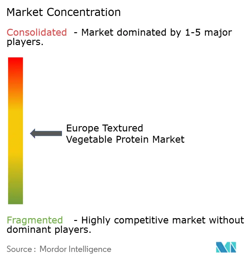 Europe Textured Vegetable Protein Market Concentration