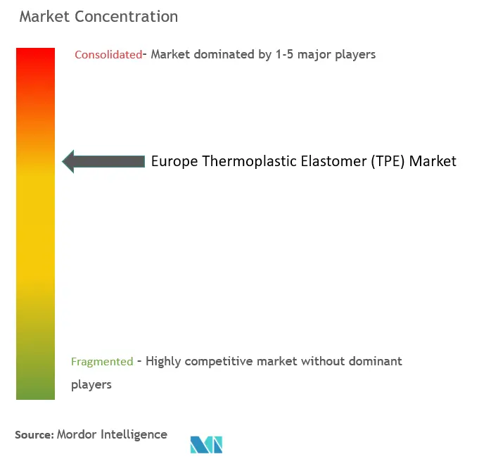 Europe Thermoplastic Elastomer (TPE) Market Concentration