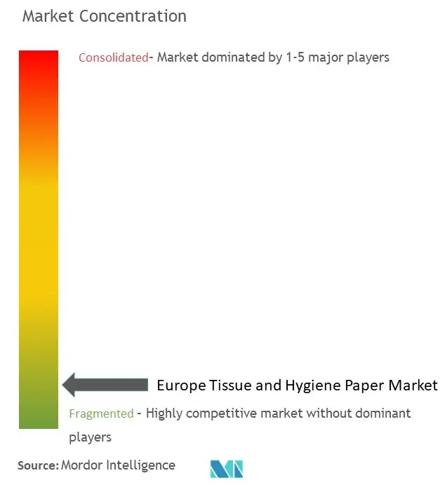 Europe Tissue And Hygiene Paper Market Concentration