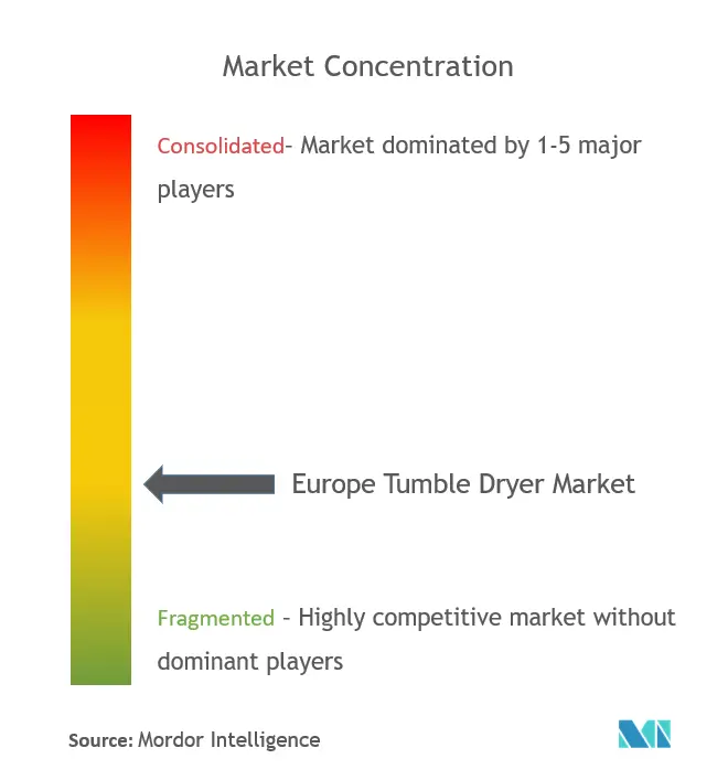Europe Tumble Dryers Market Concentration