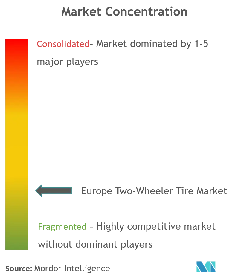 Europe Two-Wheeler Tire Market_Market Concentration.png