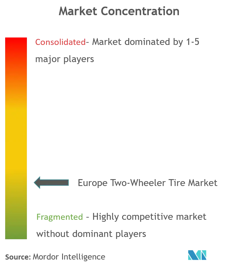 Marché européen des pneus pour deux-roues_Concentration du marché.png