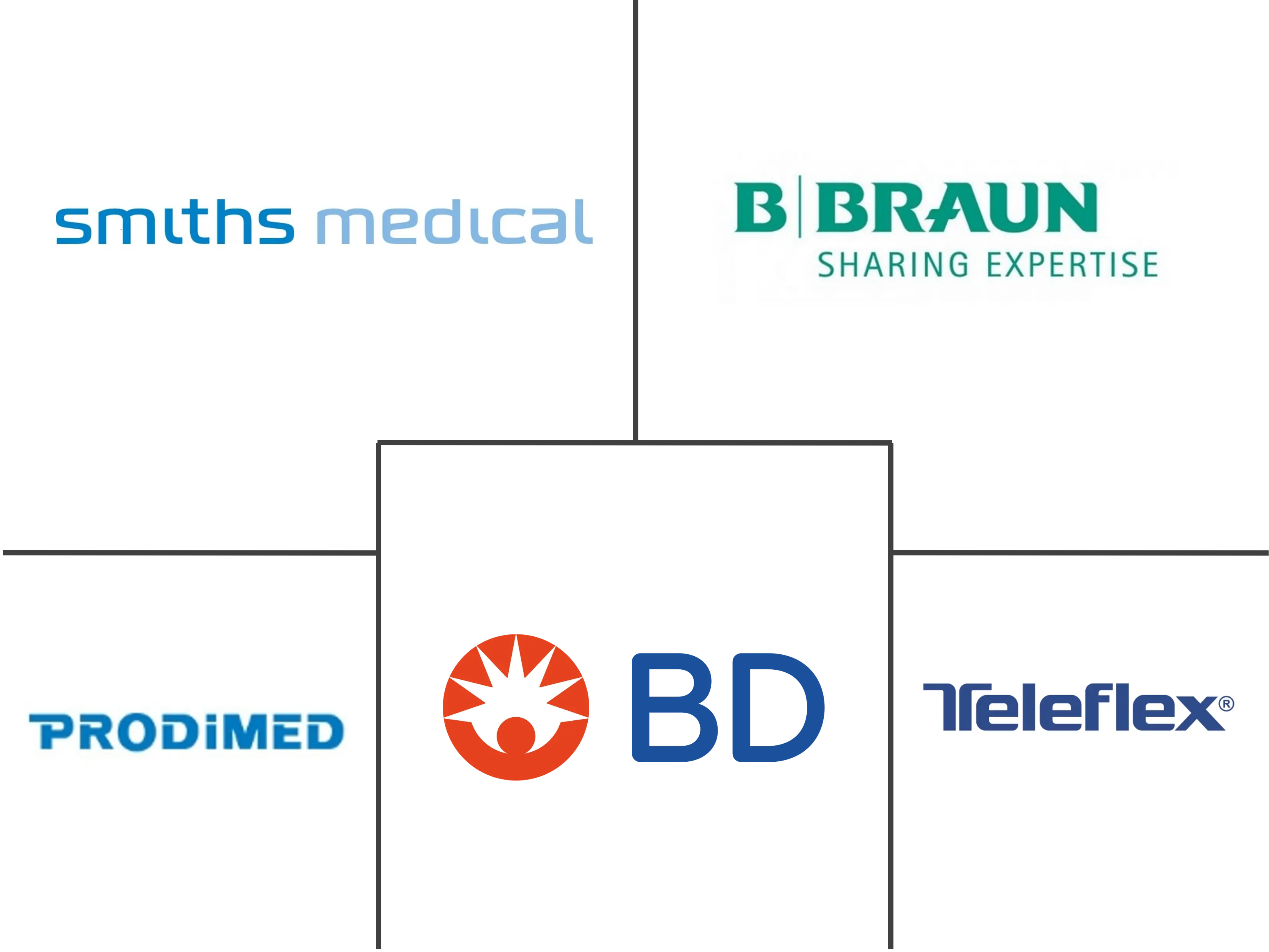 Europe Vascular Access Device Companies Top Company List