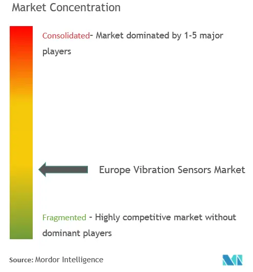 Europe Vibration Sensors Market Concentration