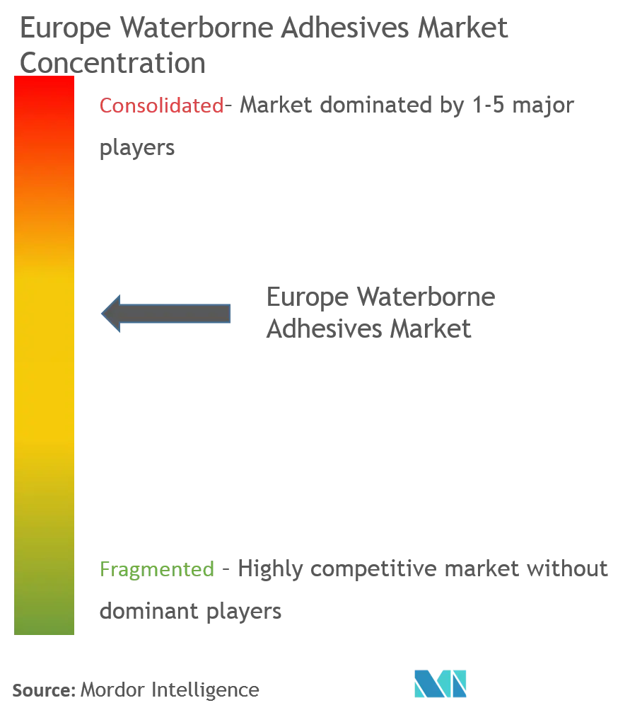Europe Waterborne Adhesives Market - Market Concentration.png