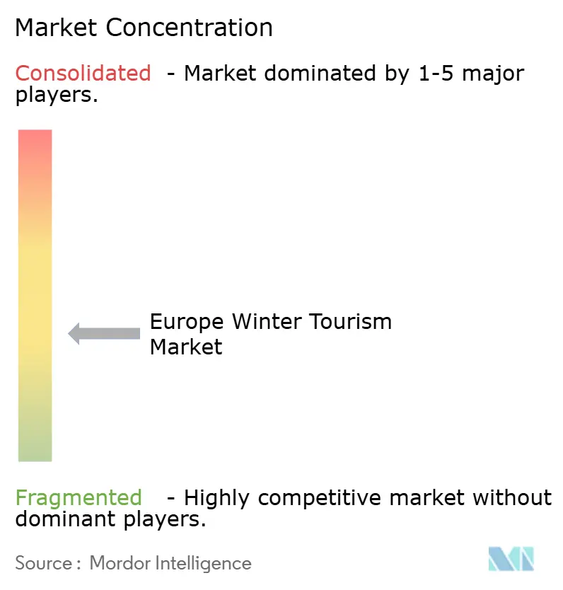 Europe Winter Tourism Market Concentration