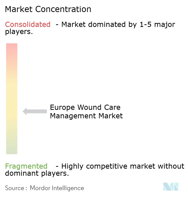 Europe Wound Management Market  Concentration