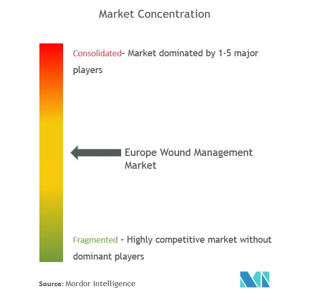 Marktkonzentration für Wundmanagement in Europa