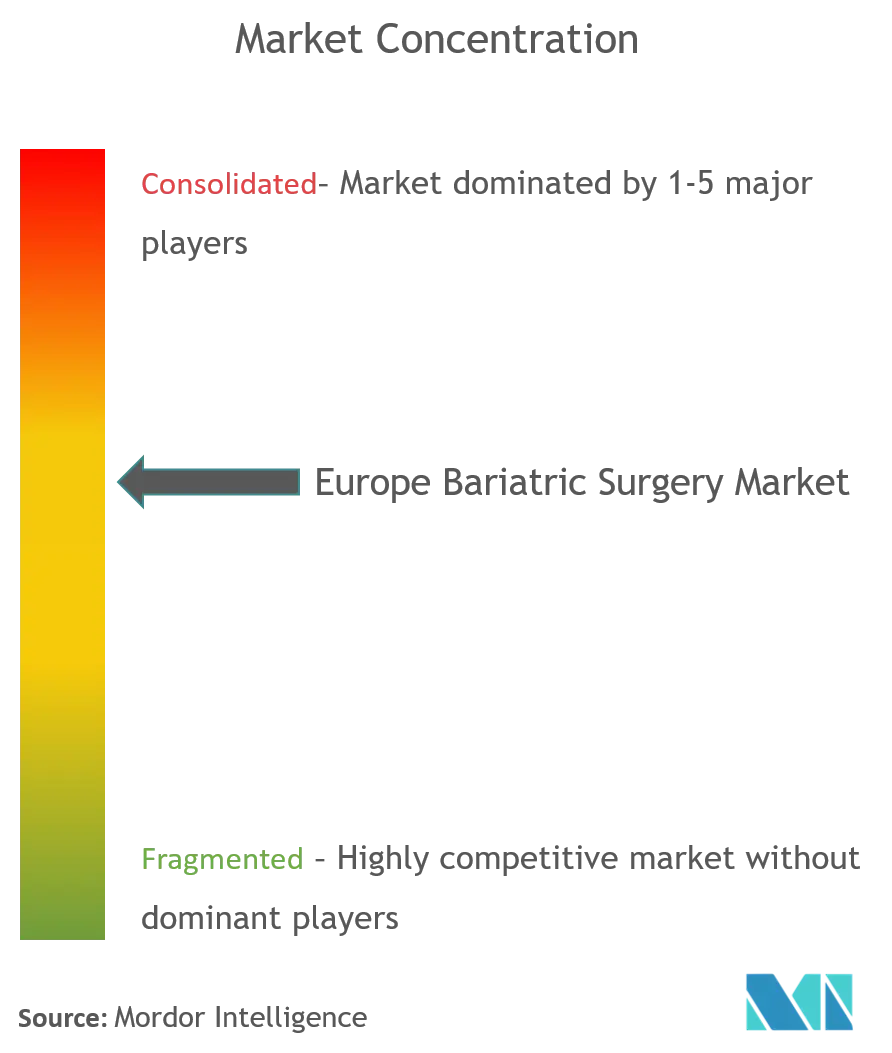 ヨーロッパ肥満外科市場集中度