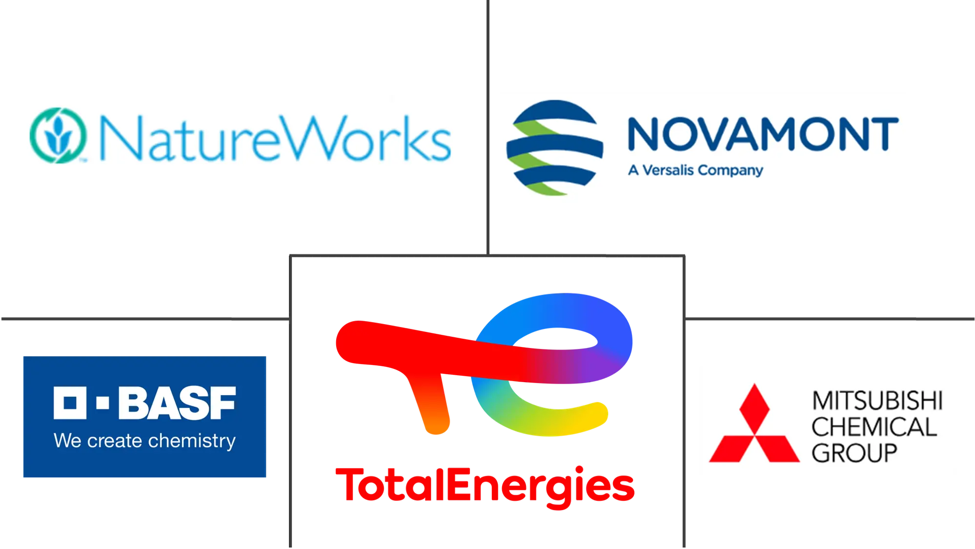 Major players in Europe Bioplastics industry