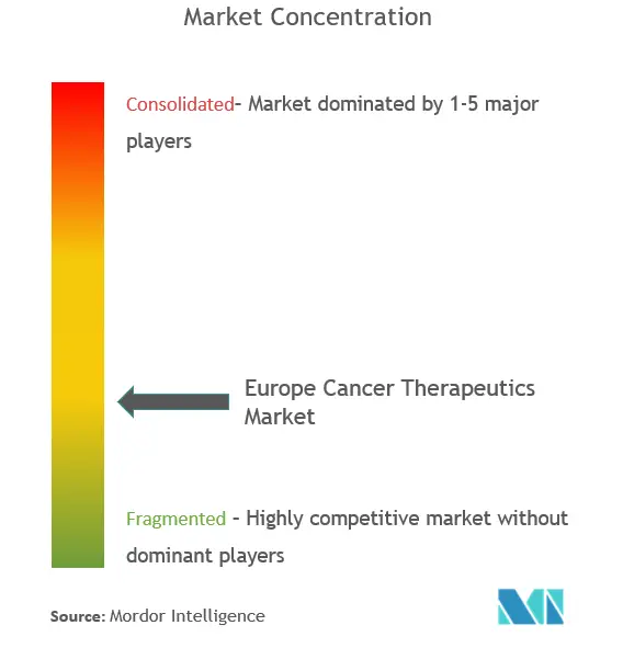 欧州がん治療市場 産業集中度