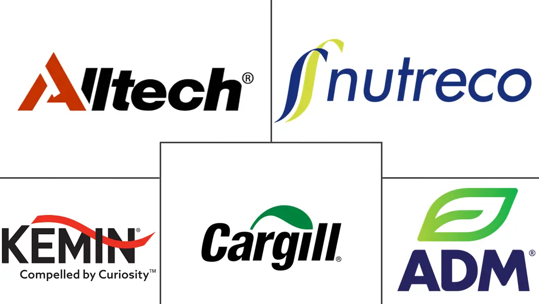 Major players in Europe Compound Feed industry