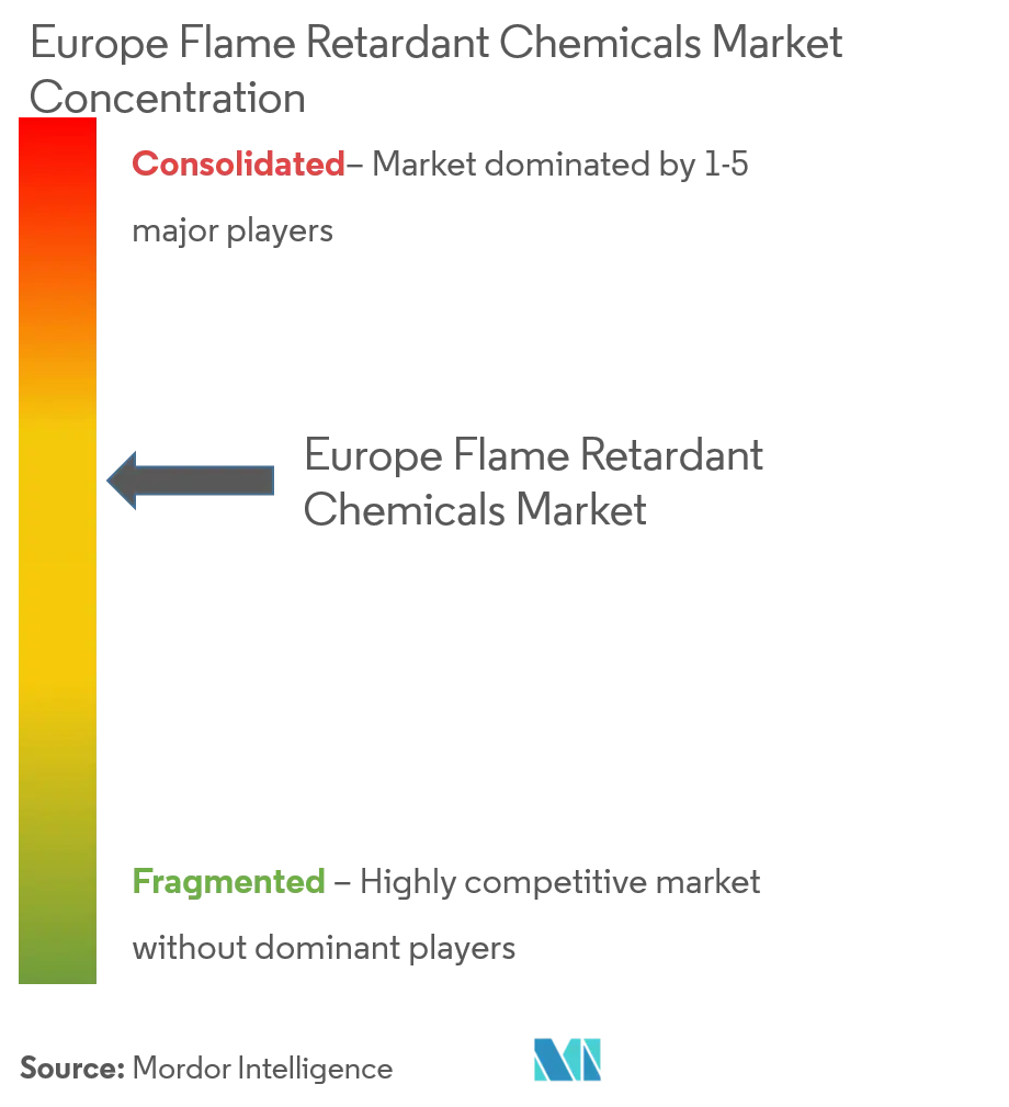Europe Flame Retardant Chemicals Market - Competitive Landscape.png
