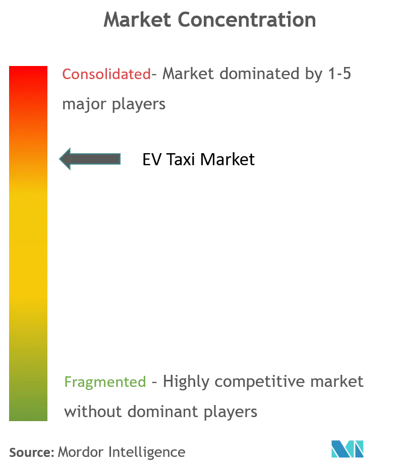 EV Taxi Market Concentration