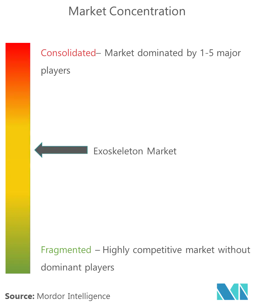 Globales ExoskelettMarktkonzentration