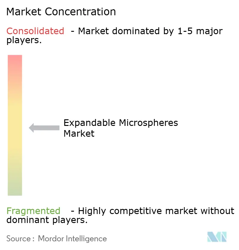 Marktkonzentration für Expandable Microspheres