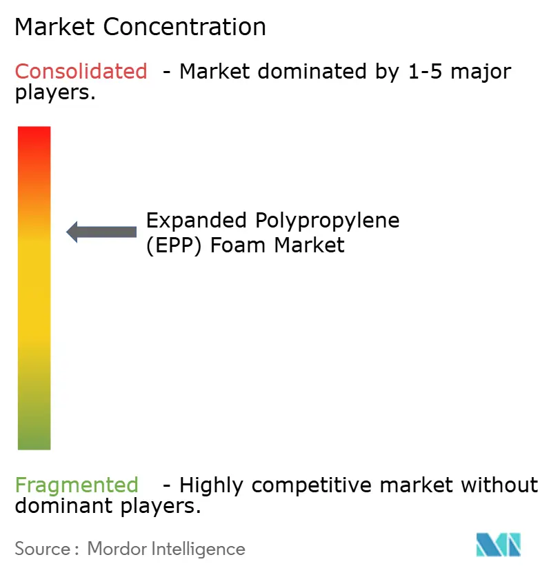 Expanded Polypropylene (EPP) Foam Market - Market Concentration