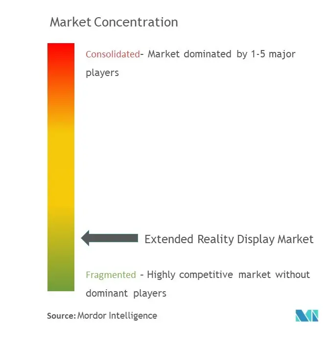 Extended Reality Display Market.png