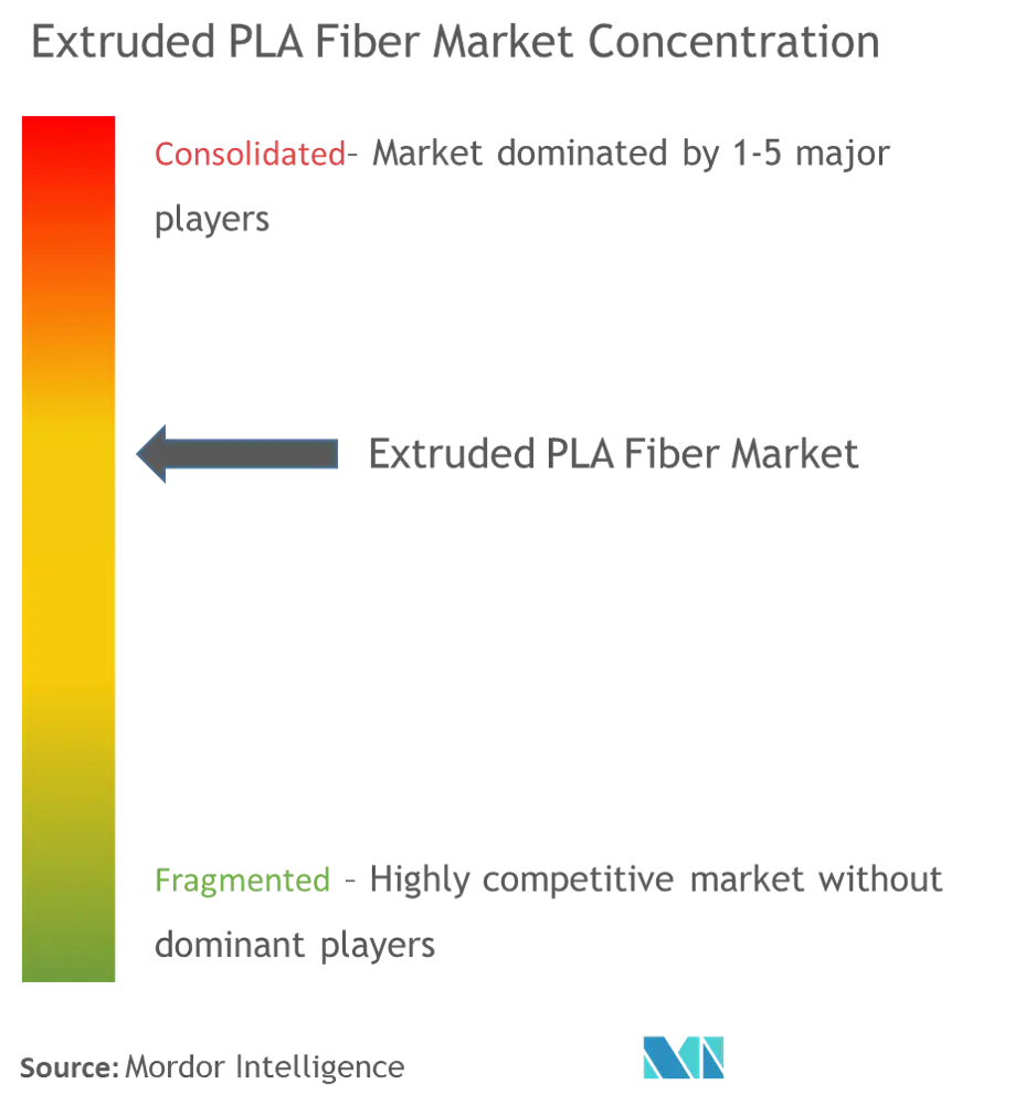 Extruded PLA Fiber - Market Concentration.png