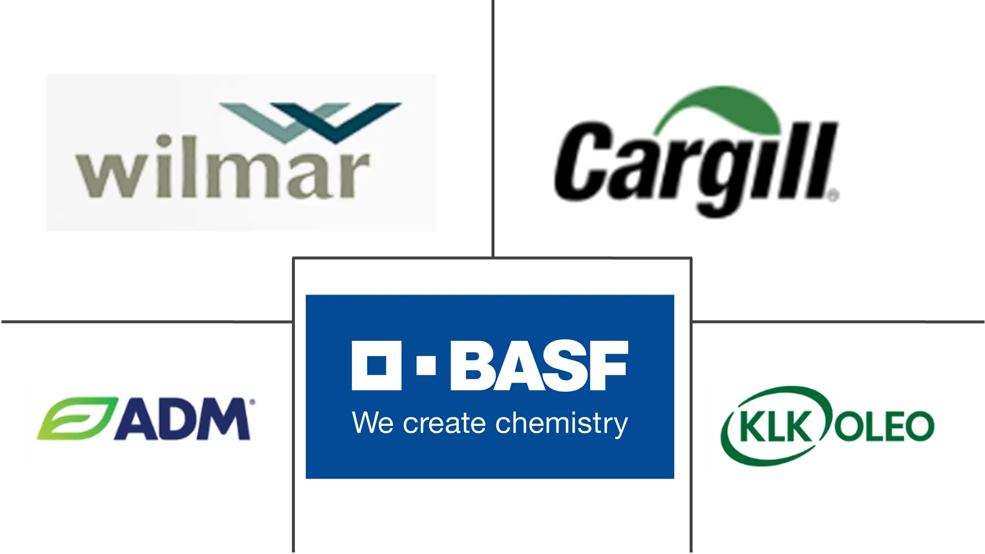 Major players in Fatty Acid Methyl Ester industry