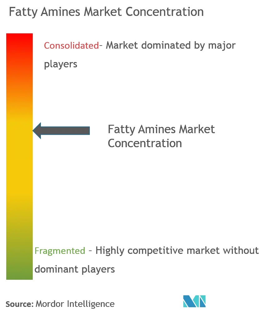 Fatty Amines Market Concentration