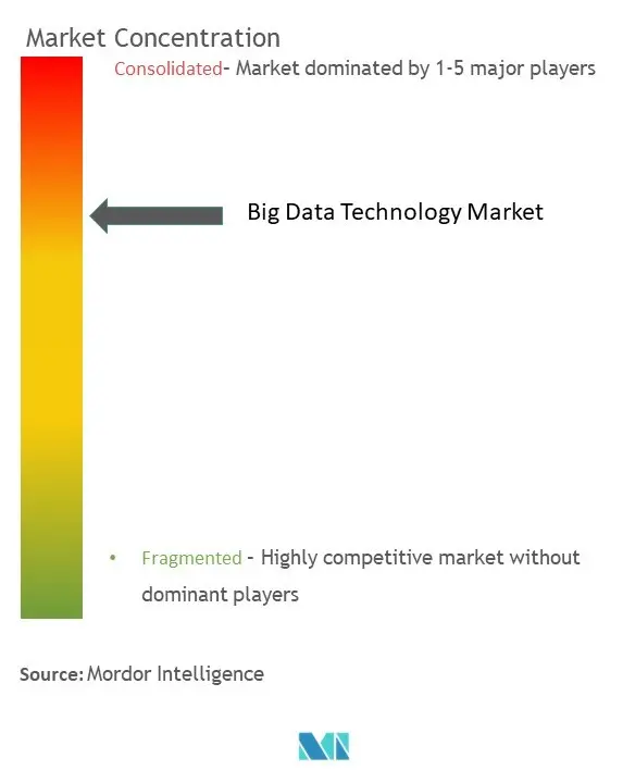 Concentration du marché de la technologie Big Data