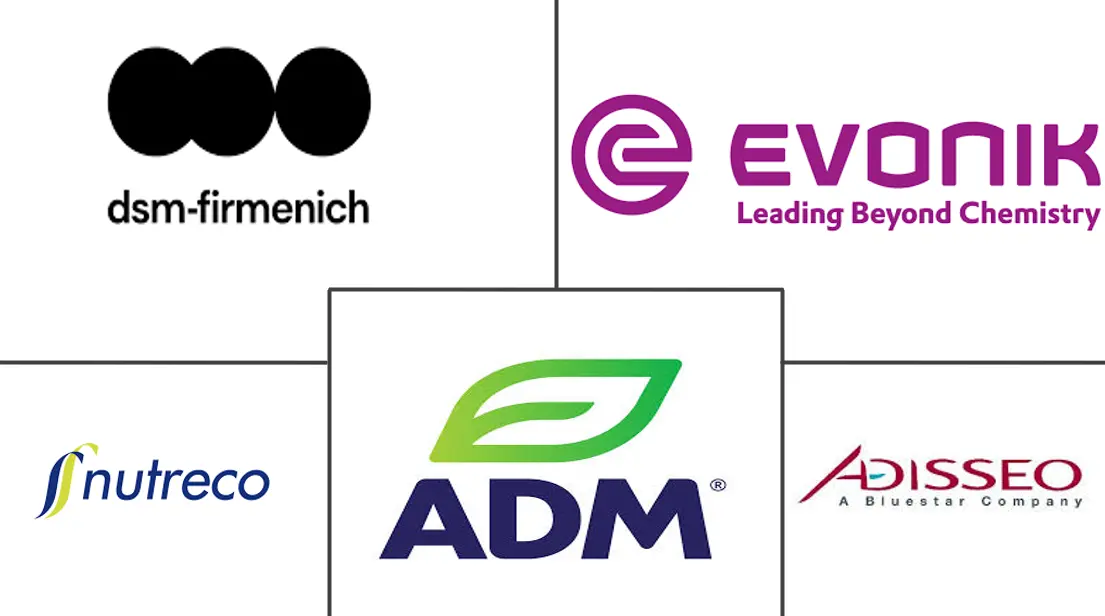 Major players in Feed Additives industry