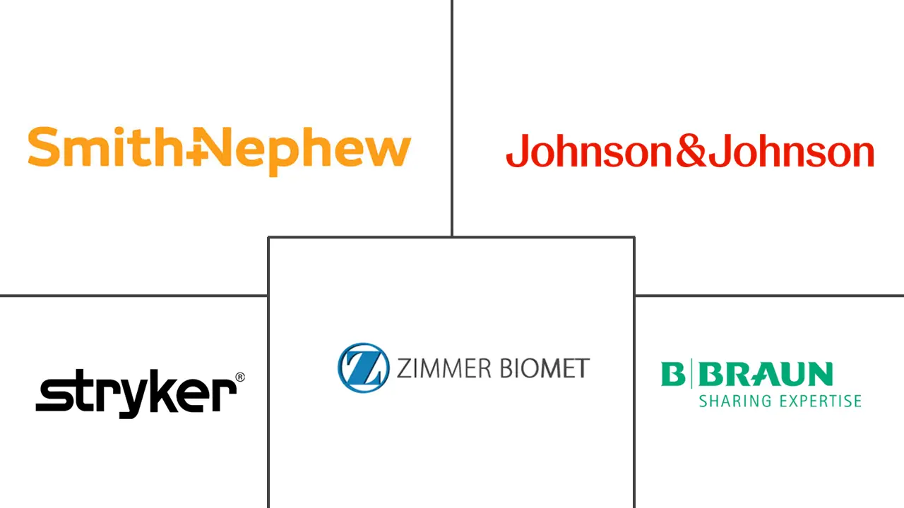 Major players in Femoral Head Prostheses industry